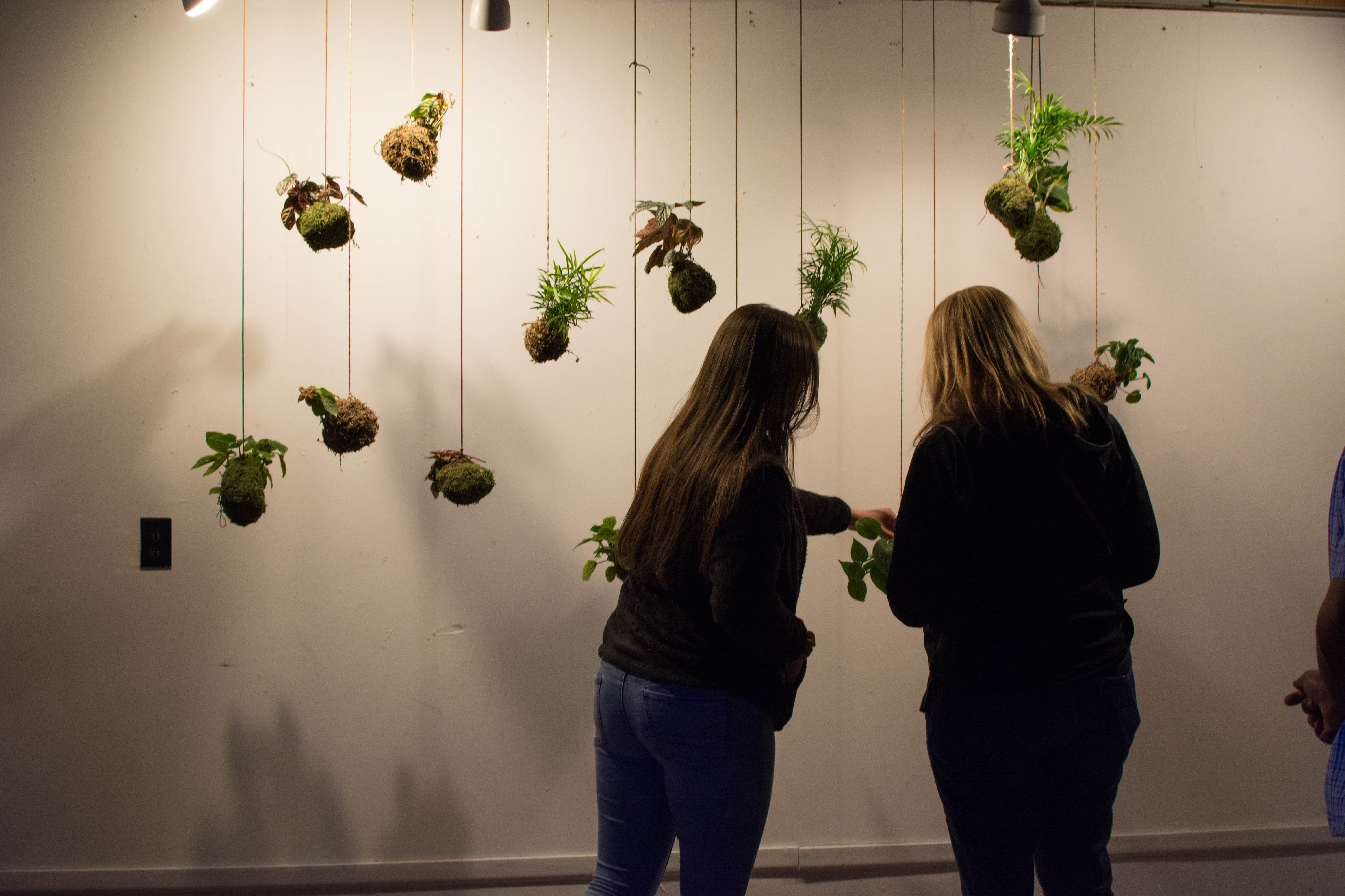 string gardens on exhibition at the Air It Out teen art show